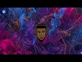 Premium Emf Chairman, Lyrics, My/Fine Señorita(official Audio)