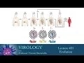 Virology 2014 lecture - Evolution