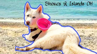 Dog Friendly Things to Do in Shores Islands Ohio