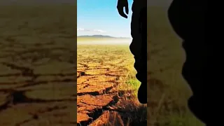 სიმღერა აღარ მესტუმრა არწივი 