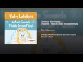 Golden Slumbers (Nature / Music Box Instrumental)