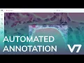 Automated Image Labelling with Auto-Annotate - V7 Darwin