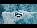 Balance - Dana Incorporated
