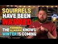 The Squirrels Are Preparing for Something