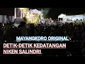 Download Lagu Jaranan Mayangkoro Original Ada Niken Salindri (Desa Ketanon Tulungagung)