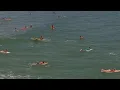 Florida led the nation in shark bites in 2025 report shows Why researchers say it tops the list