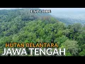 Lagu PETUALANGAN EXTREME‼️DI HUTAN BELANTARA JAWA TENGAH