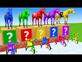 Download Lagu Long Slide Game With Cow Elephant Gorilla Hippopotamus Tiger 3d Animal Game Funny 3d Animals #1