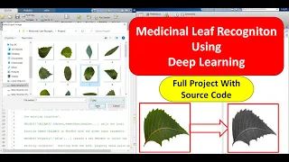 Medicinal Leaf Recognition Using Deep Learning Matlab Code Leaf Classification Image Processing Code