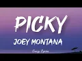 Download Lagu Joey Montana (Official Lyrics Song)- Picky