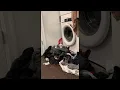 Download Lagu Kitty Brings Laundry Pile to Life || ViralHog