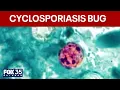 Doctor explains how to protect from Cyclosporiasis outbreak