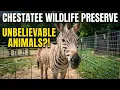 Chestatee Wildlife Preserve Full Tour - Dahlonega Georgia
