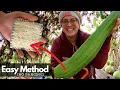 Process GREEN Luffa Simply Harvest To Sponge Tutorial