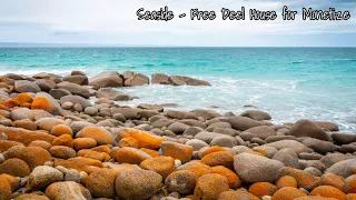 Download Seaside | Free Deep House for Monetize MP3