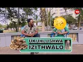 Download Lagu Ngagcatshwa ngegazi lenja, meke indoda yangibhedela kuthi angiyibulale | UKUHLUSHWA IZITHWALO