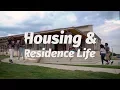 Live on Campus at UNT Dallas