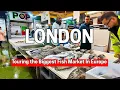 Inside Billingsgate The Biggest Fish Market In Europe At 3AM 4K