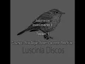 Jazznoize - Instruments II [Ana Béjar-Adam Pacione-Red Kite]