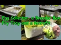 How I Clean and Retrofit an Egg Collector System for My Tetras