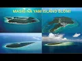 Lagu MASIG NA YAM ISLAND BLOMI - PNG Music 2025 (J.R New Sound Production)