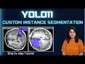 YOLO11 Instance Segmentation on Custom Dataset Step-by-Step Tutorial