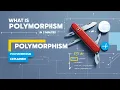 What is Polymorphism Explained in Simple Terms