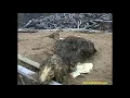 Download Lagu Scp 682 roar sound effect