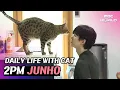 Download Lagu [C.C.] Working out at HOME GYM and playing with cat #2PM #JUNHO