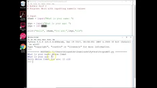 Python work with inputs of string int and float variables