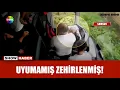 Download Lagu Seyir halindeyken kendinden geçti