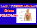 Lagu sistem pencernaan manusia