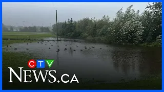 ‘We continue to operate under a state of emergency’: Port Hawkesbury mayor speaks out after storm