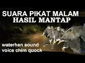 Download Lagu SUARA RUAK RUAK MALAM TERBUKTI datang,waterhensound,nightbirdsound,himquock @mandauel
