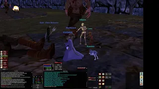 Everquest P99 - What makes a good