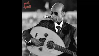 محمد الأمين ناعم العود 