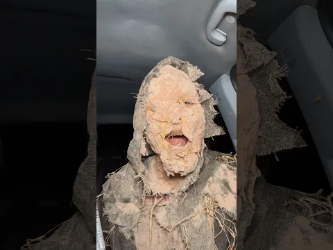 THE SCARECROWS PROTIEN