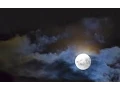 Lunar calendar - August