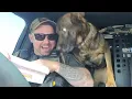 When Police Dogs Forget Their Job Funny Dog s 2025