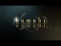 Hamaki - Aash Min Shafak (Official Lyrics Video) /حماقي - عاش من شافك - كلمات