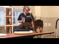 Conejo Vet Pet Boarding