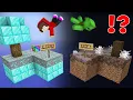 JJ and Mikey Choose the Right Skyblock ?!