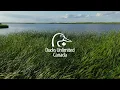 Ducks Unlimited Canada secures East Meadows Manitoba s largest ever conservation land purchase