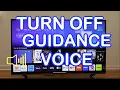LG Smart TV TURN VOICE ASSISTANCE TALK BACK GUIDANCE 2024