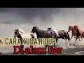 Download Lagu Kuda Liar Sumba NTT - Khusus Peternakan Kuda Pacu