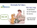 Pet Odor Removal with BioShock