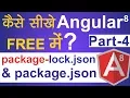 Angular 8 Tutorial for Beginners Part-4 Difference Between Package lock json and Package json