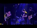 She's Green "Little Birds" LIVE