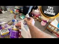 Hot Shot Flea Bomb How-to Step by Step for Cats and Dogs and Families kids