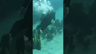 ANNOUNCEMENT 📣 With your support we can make our dream of being full time creators a reality!